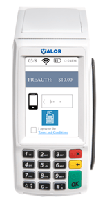 Perform a Pre auth Valor Device Step 4